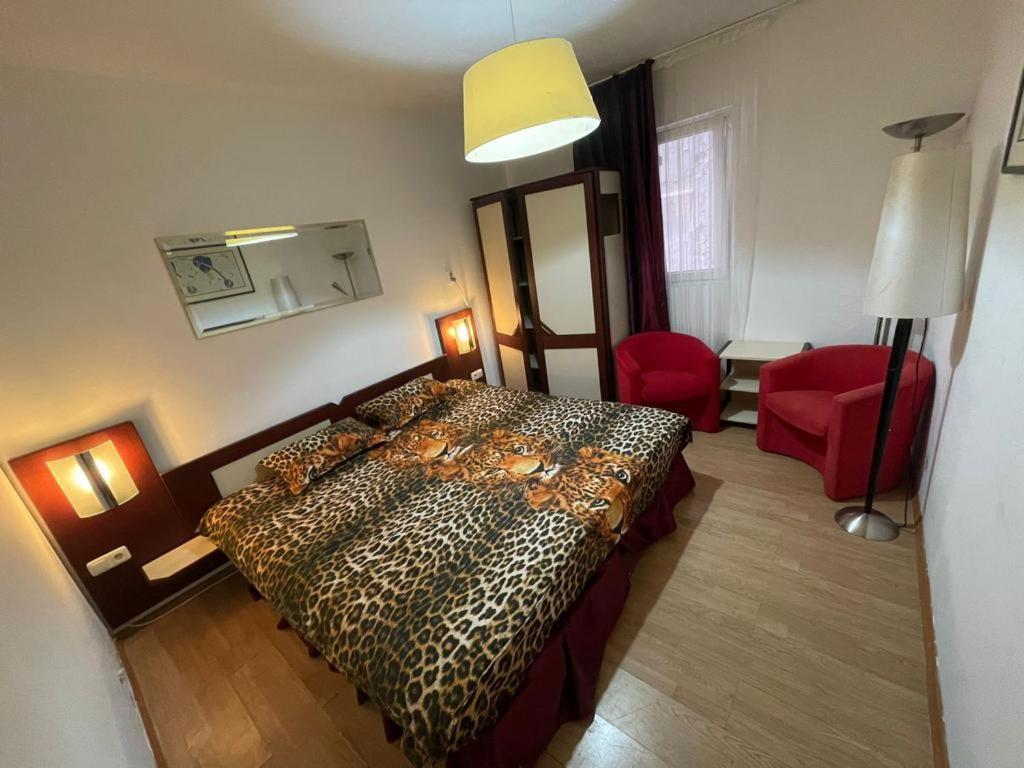 Pensiunea Coquette Costinesti Hotell Exteriör bild