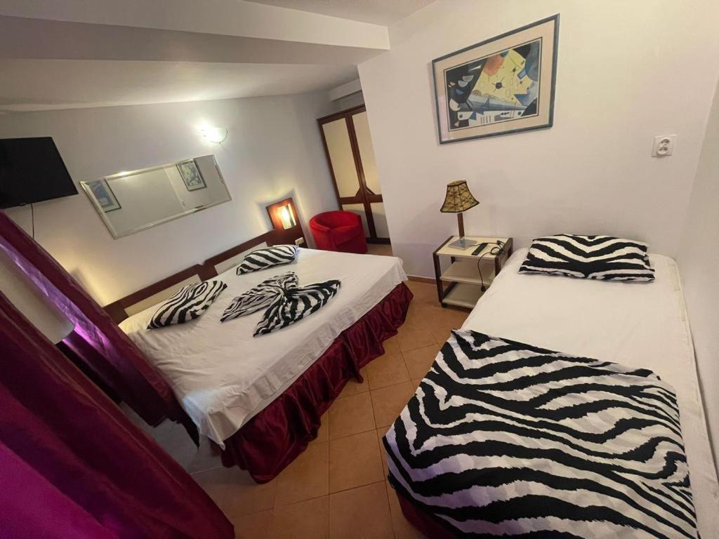 Pensiunea Coquette Costinesti Hotell Exteriör bild